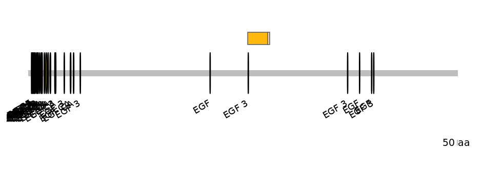 DmeINT0031198-EXC