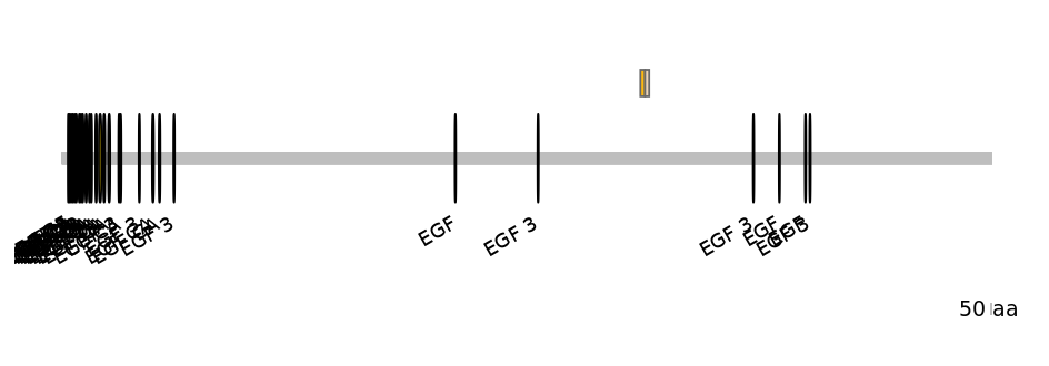 DmeINT0031211-EXC