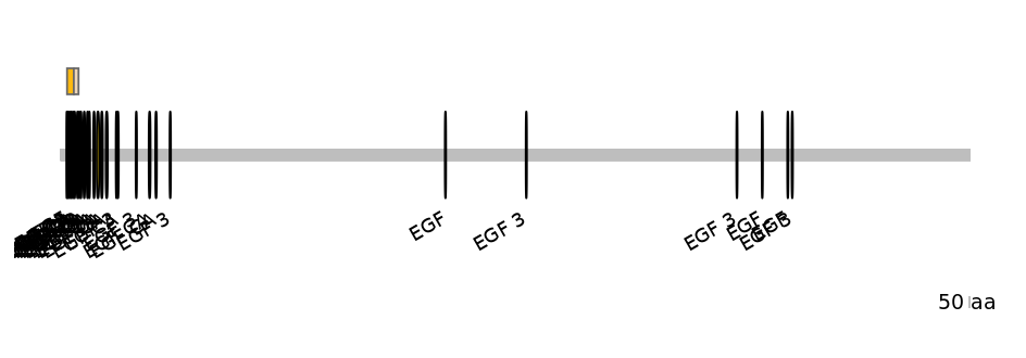 DmeINT0031234-EXC