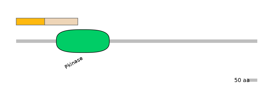 DmeINT0032455-EXC