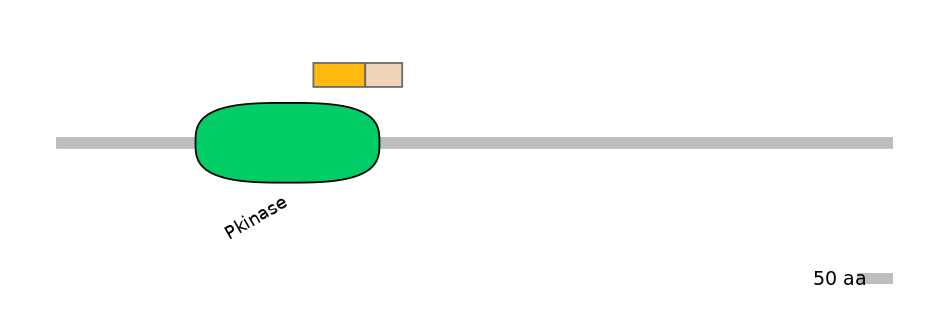DmeINT0032458-EXC
