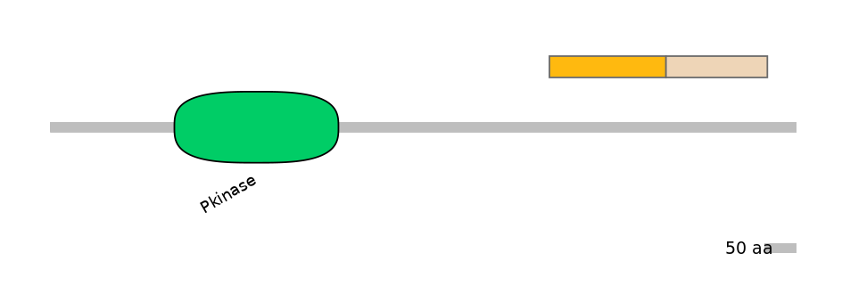 DmeINT0032462-EXC