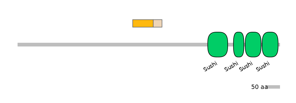 DmeINT0032492-EXC