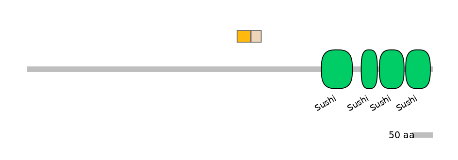 DmeINT0032493-EXC