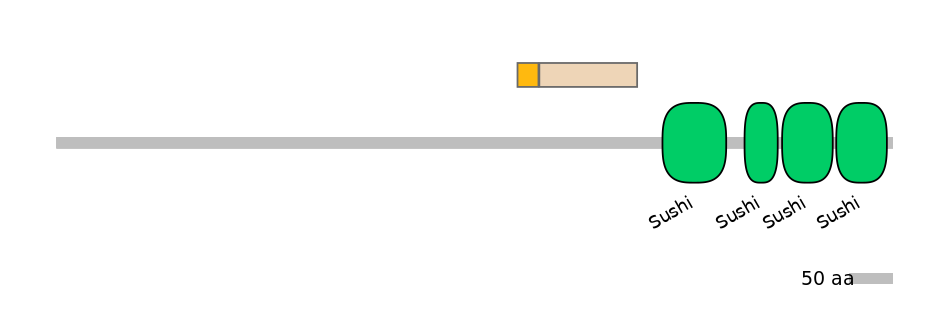 DmeINT0032494-EXC