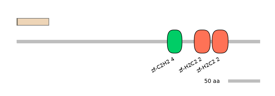 DmeINT0033355-EXC