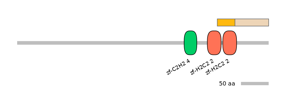 DmeINT0033358-EXC