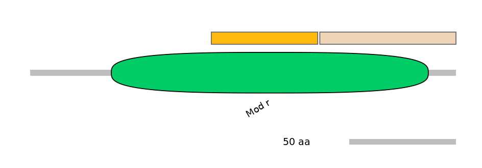 DmeINT0034059-EXC