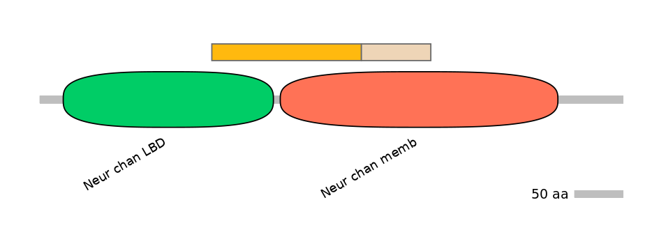DmeINT0034425-EXC
