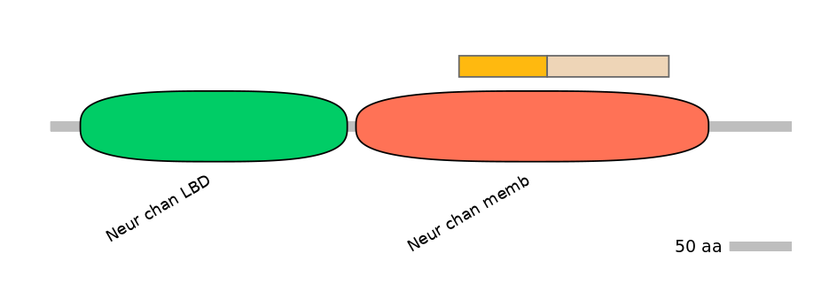 DmeINT0034426-EXC