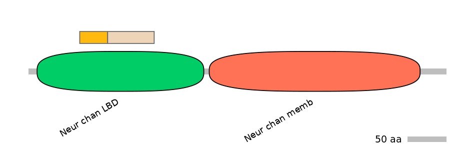 DmeINT0034448-EXC