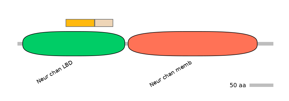 DmeINT0034449-EXC