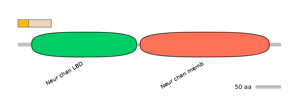 DmeINT0034493-EXC