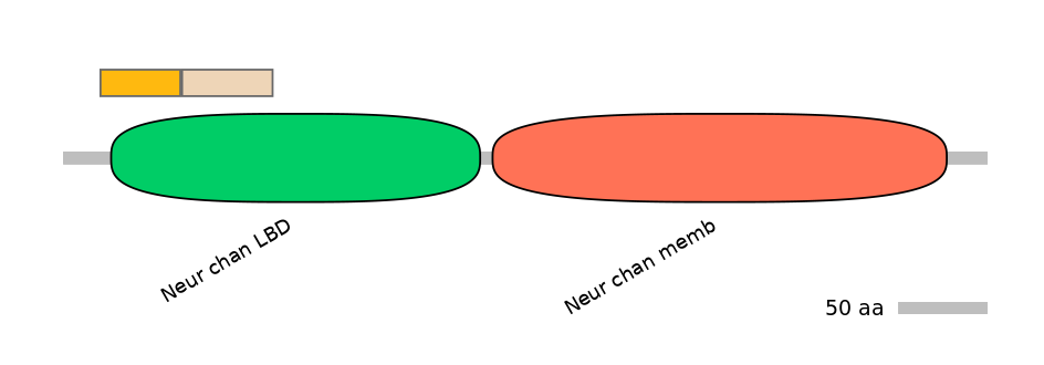 DmeINT0034494-EXC