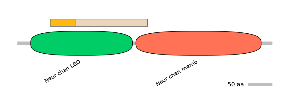 DmeINT0034495-EXC