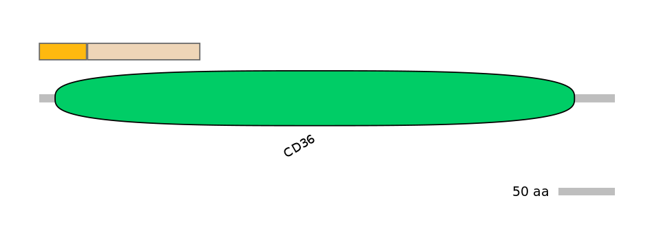 DmeINT0034632-EXC