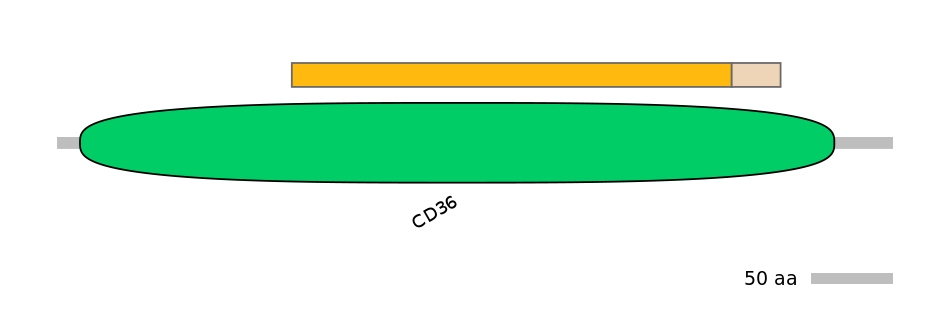 DmeINT0034634-EXC