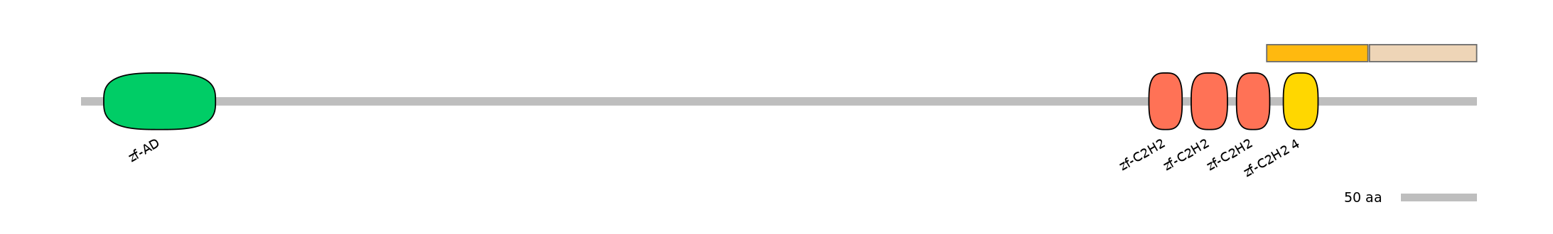 DmeINT0035040-EXC