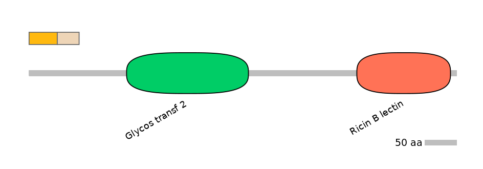 DmeINT0035225-EXC