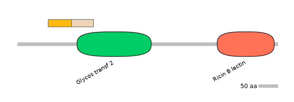 DmeINT0035227-EXC