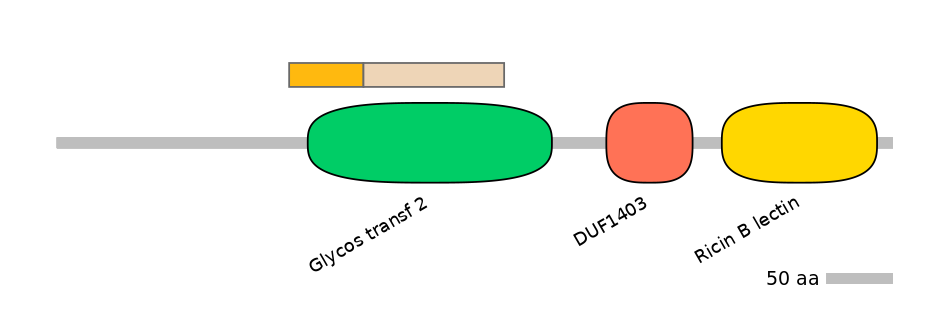 DmeINT0035236-EXC