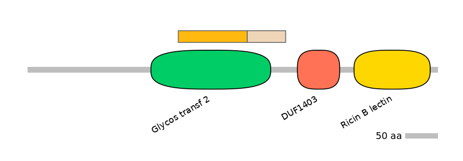 DmeINT0035237-EXC