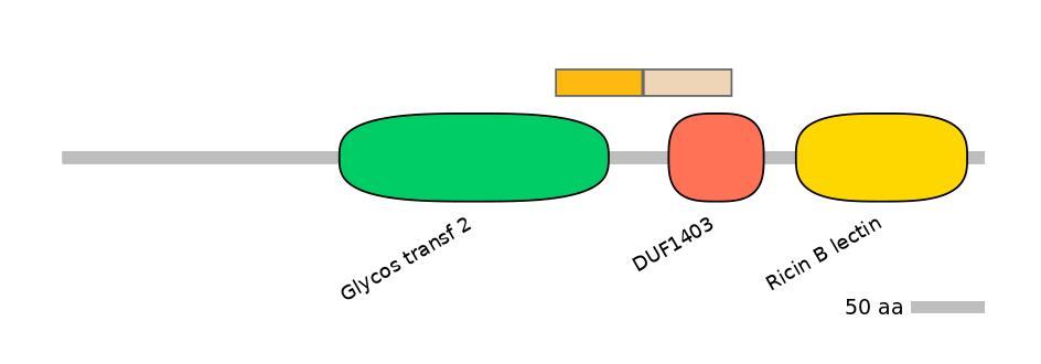 DmeINT0035238-EXC