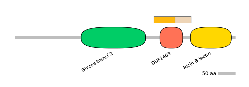 DmeINT0035239-EXC