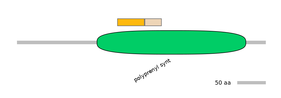DmeINT0035823-EXC