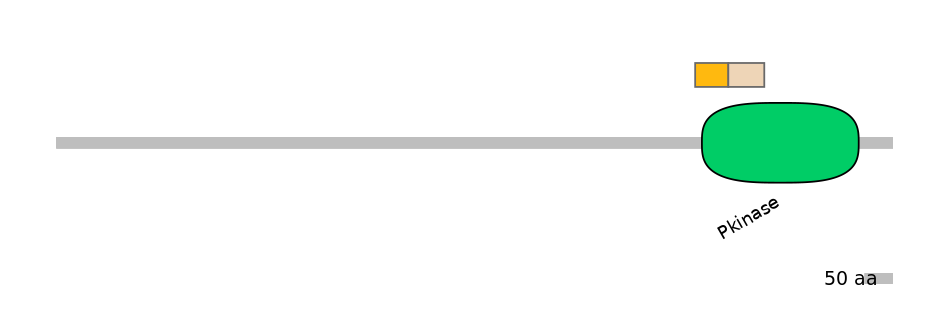 DmeINT0037518-EXC