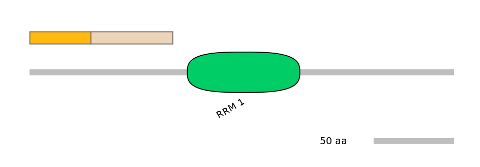 DmeINT0037631-EXC