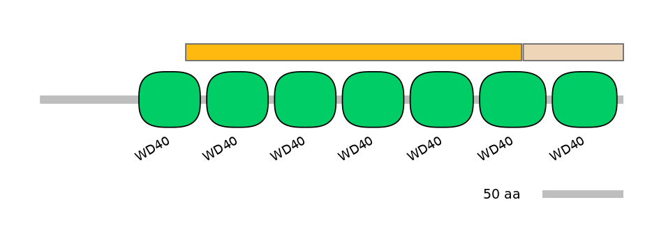 DmeINT0038268-EXC