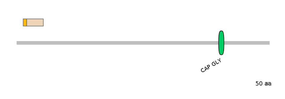 GgaALTA0001954-1_2-EXC