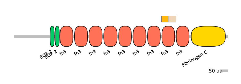 GgaALTA0002293-1_2-EXC