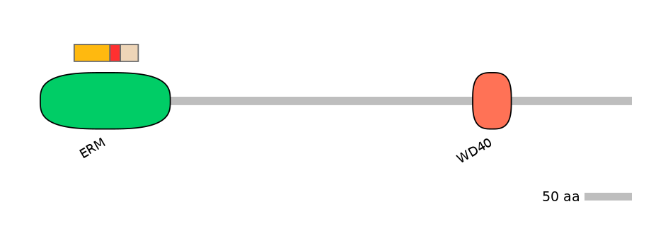 GgaALTA0005127-3_3-EXC