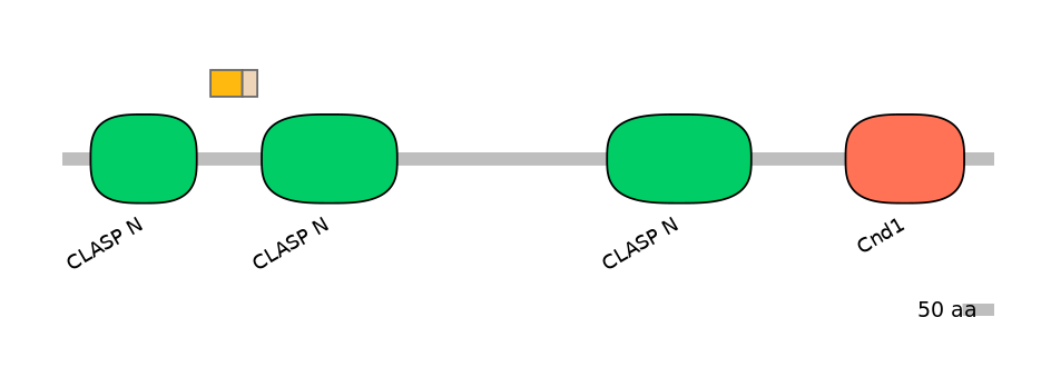 GgaALTA0006184-1_2-EXC
