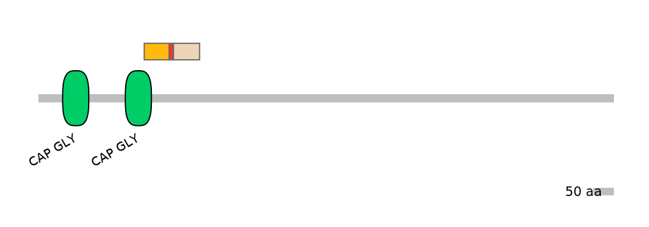 GgaALTD0001701-2_2-INC