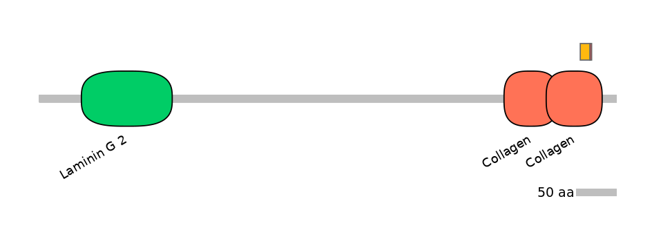 GgaALTD0002746-2_2-INC