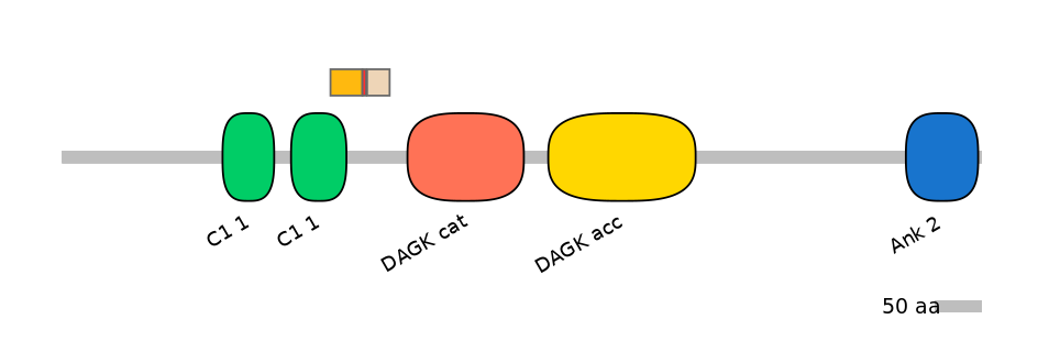 GgaALTD0005181-2_2-INC