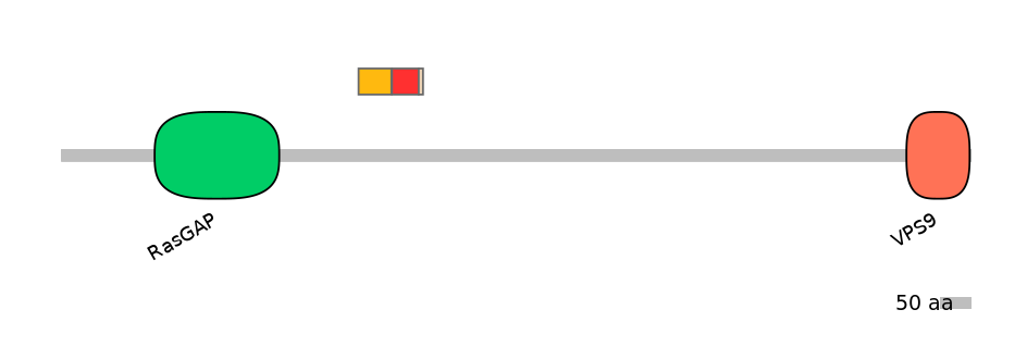 GgaEX0001026-INC