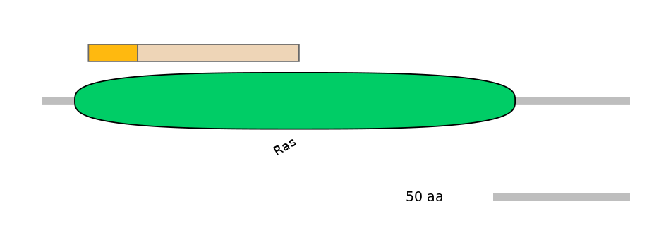 GgaEX0001682-EXC