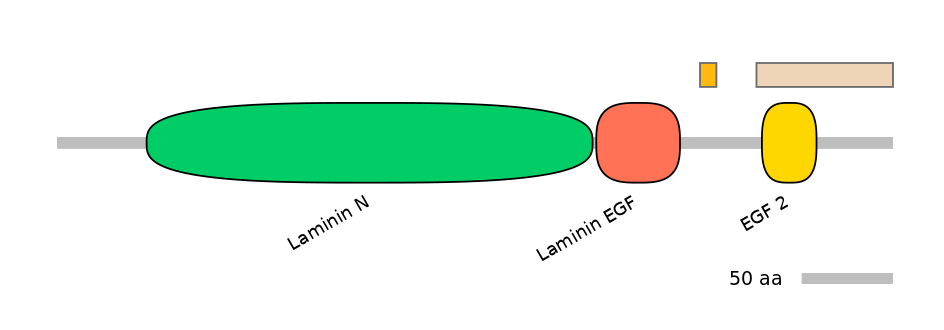 GgaEX0002304-EXC