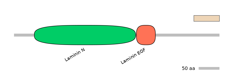 GgaEX0002305-EXC