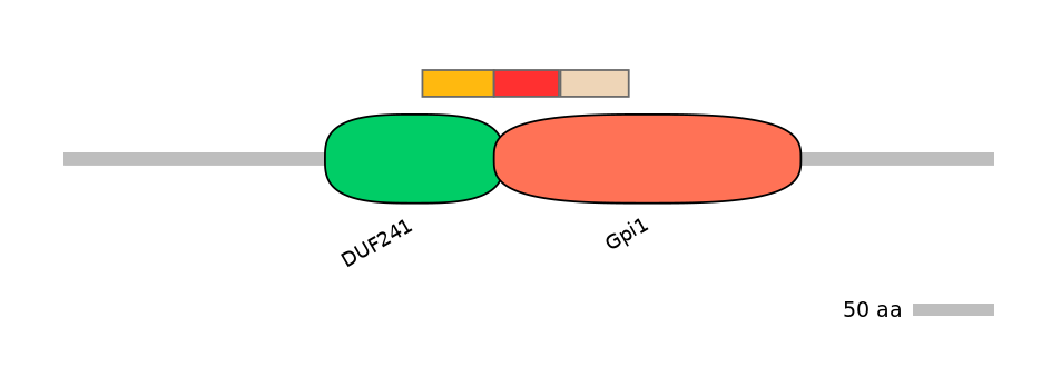 GgaEX0002428-INC