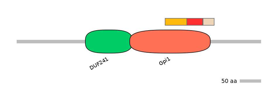 GgaEX0002429-INC