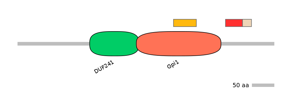 GgaEX0002430-INC