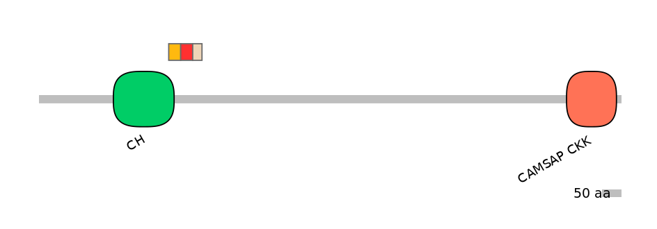 GgaEX0002632-INC