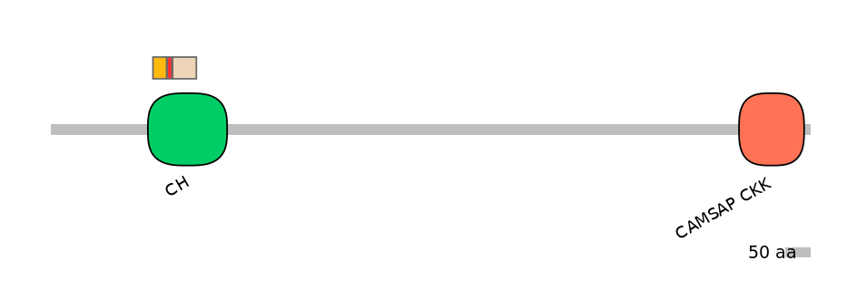 GgaEX0002636-INC