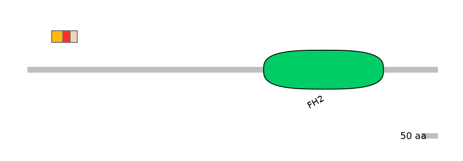 GgaEX0002701-INC