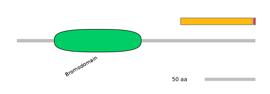 GgaEX0003405-INC